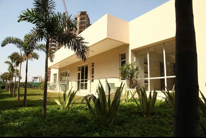 Terrace Garden India landscape project